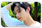 felix19