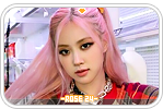 rose24