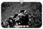 ten-stunnermv19